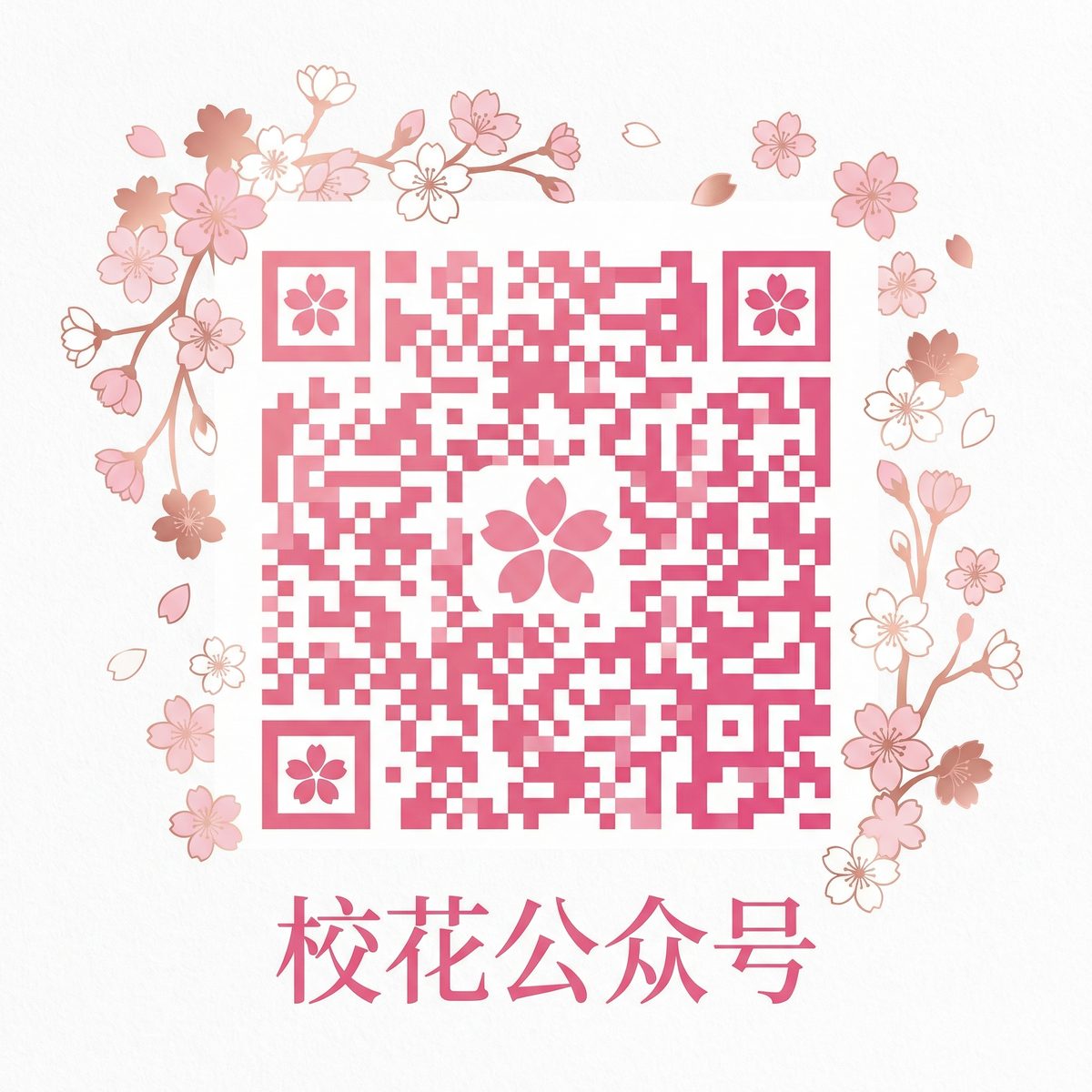 男同视频网站公众号二维码